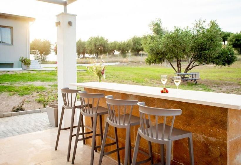 Pensió Alikon Adult Only