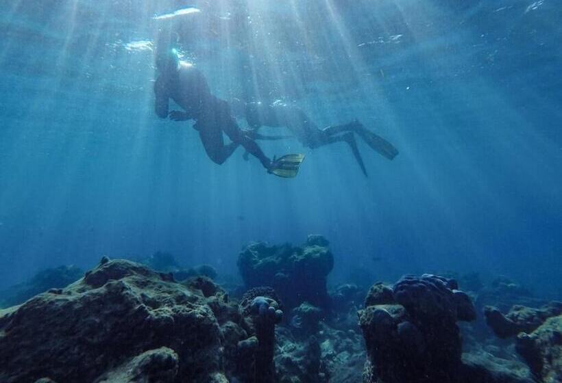 پانسیون One The Island