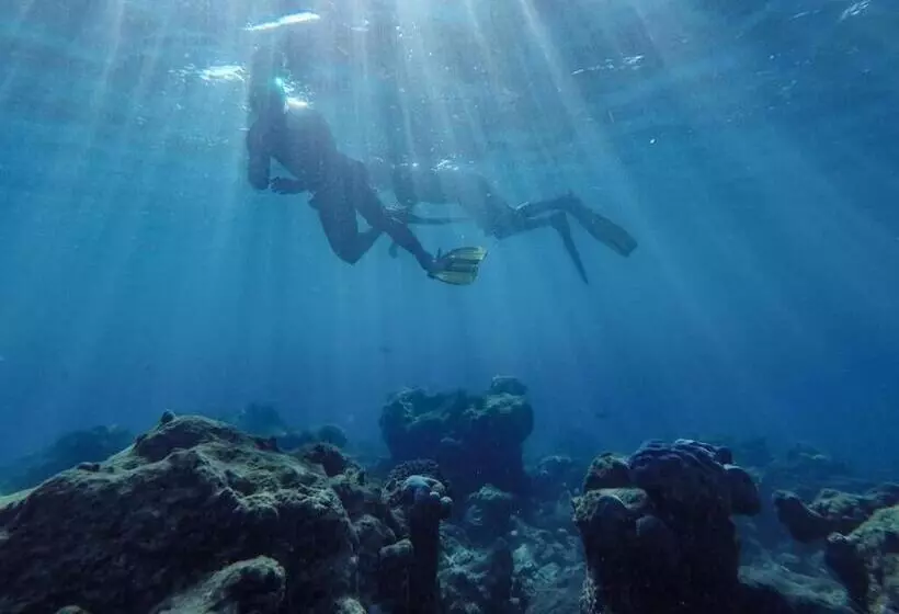 پانسیون One The Island