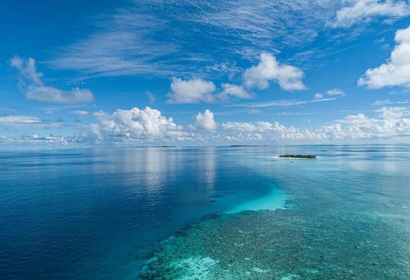 پانسیون One The Island