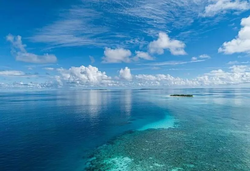 پانسیون One The Island