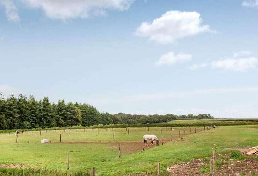 Residència Cosy Cottage In The Blackdown Hills, Devon
