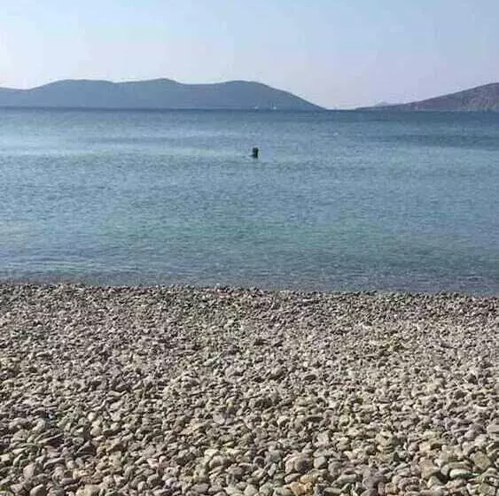 レジデンス Immaculate 3 Bed House In Ermioni