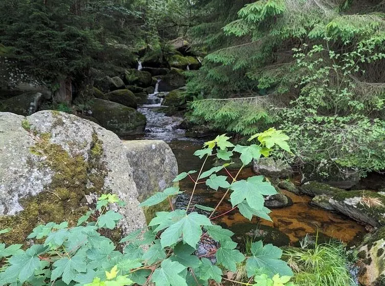 Wanderhotel Steinerne Renne