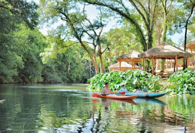 5 Son S Rio Cibolo   Birdhouse Cabin