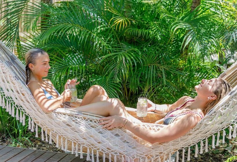 酒店 Roamer Magnetic Island Koala Park