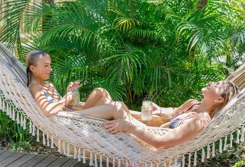 Hotelli Roamer Magnetic Island Koala Park