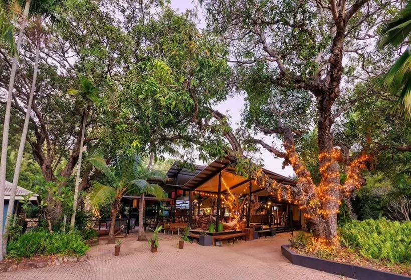 Hotelli Roamer Magnetic Island Koala Park