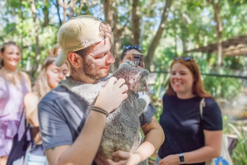 Hotelli Roamer Magnetic Island Koala Park