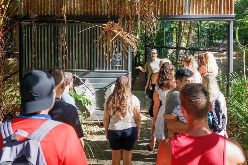 酒店 Roamer Magnetic Island Koala Park