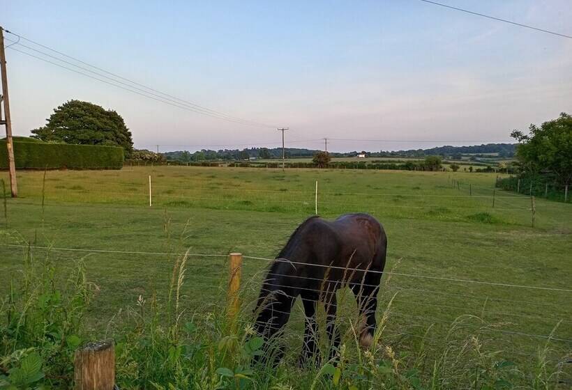 3 Bed Cottage In Quiet & Green Wallington