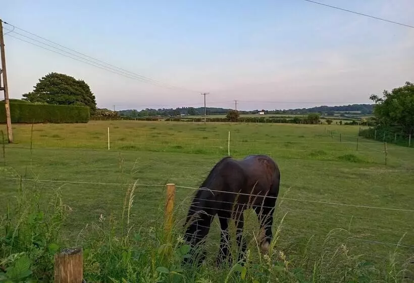 3 Bed Cottage In Quiet & Green Wallington