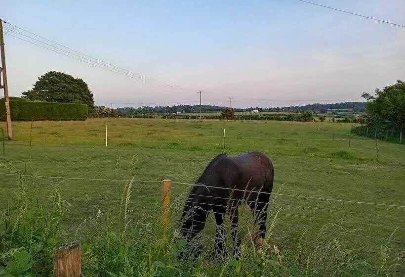 3 Bed Cottage In Quiet & Green Wallington