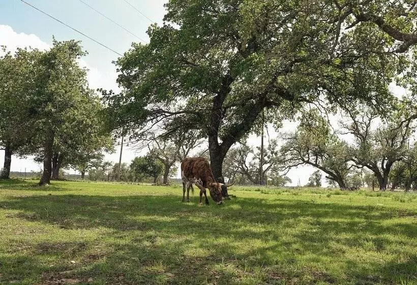 Best Fredericksburg Bed And Breakfast