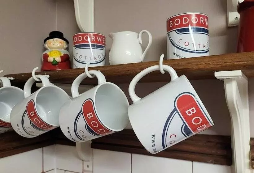 Bodorwel Cottage, Next To Ffestiniog Railway