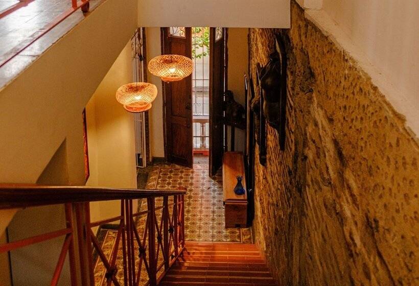 Casa Rosa   Alma Hotels