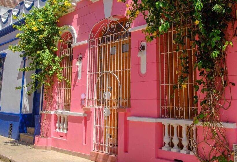 Casa Rosa   Alma Hotels