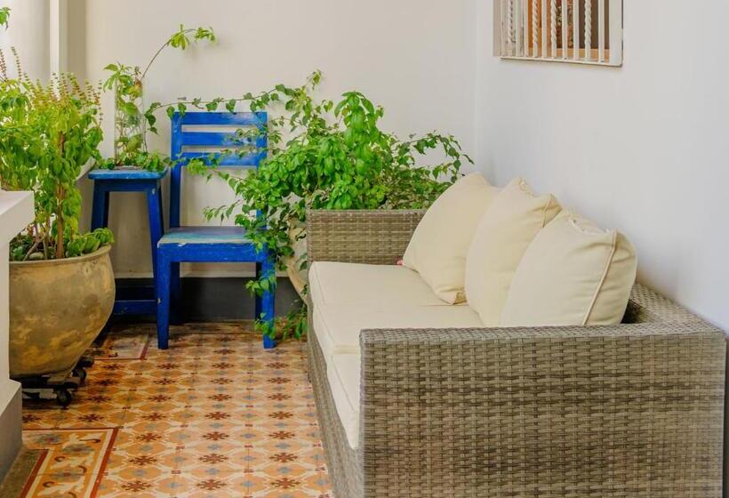 Casa Rosa   Alma Hotels