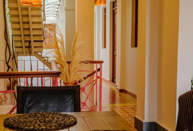 Casa Rosa   Alma Hotels