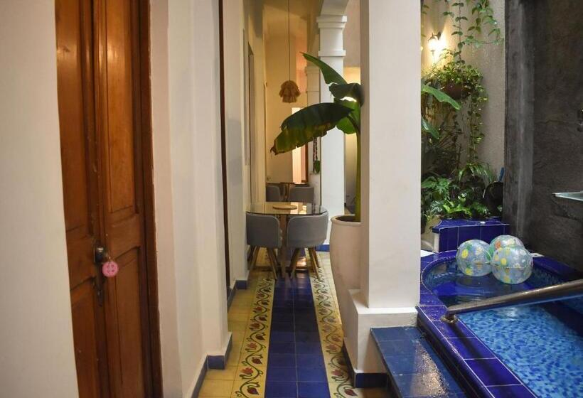 Casa Rosa   Alma Hotels