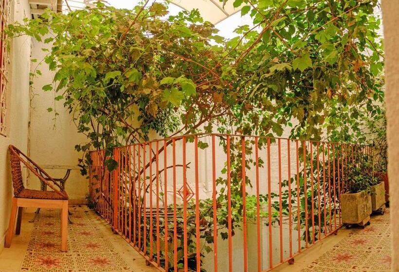 Casa Rosa   Alma Hotels