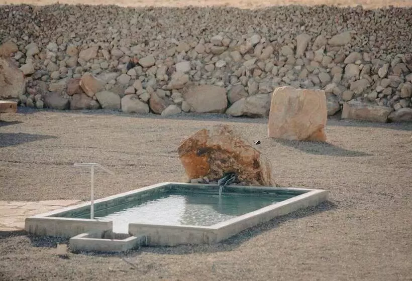 ホテル Desert Reef Hot Springs