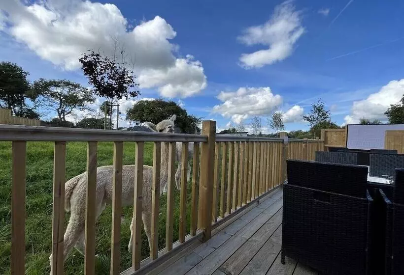 Hotelli Moonlight Dome Tent