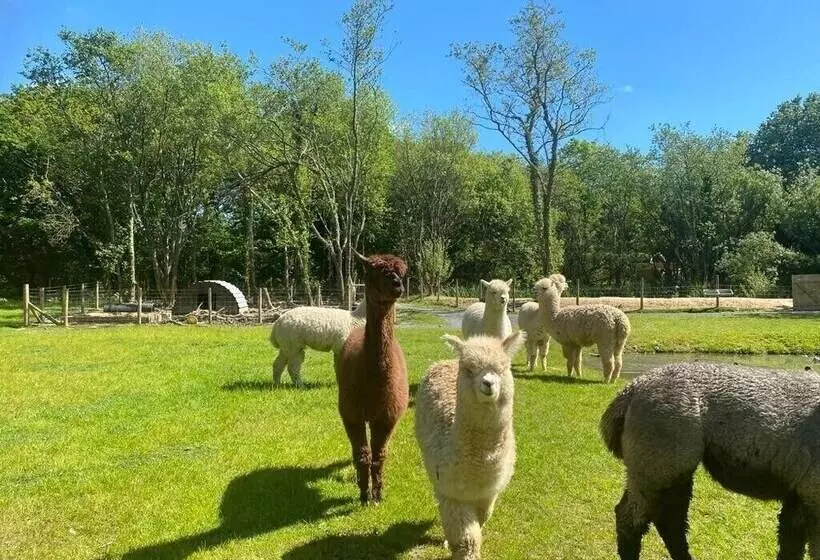 Hotelli Moonlight Dome Tent