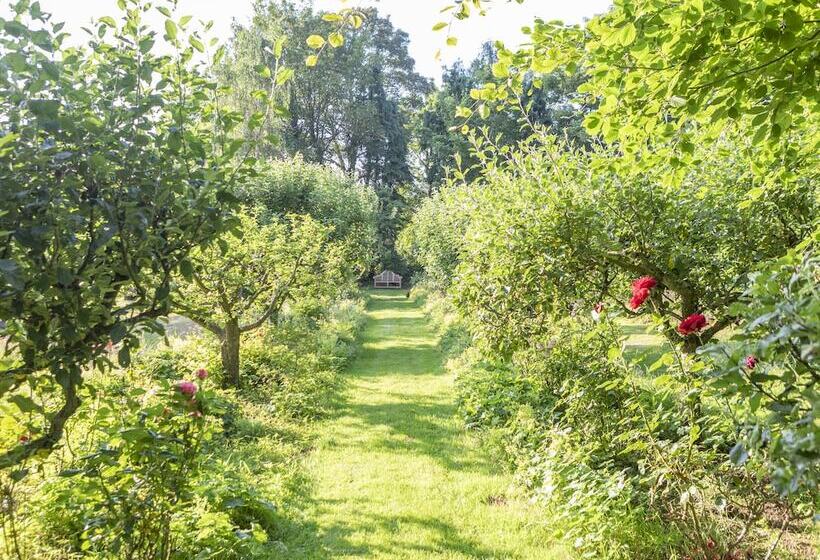 Lotus Belle Tents Sleeping Up To 7 Guests