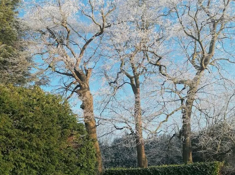 Stunning 1 Bed Cottage With Hot Tub In Ross On Wye