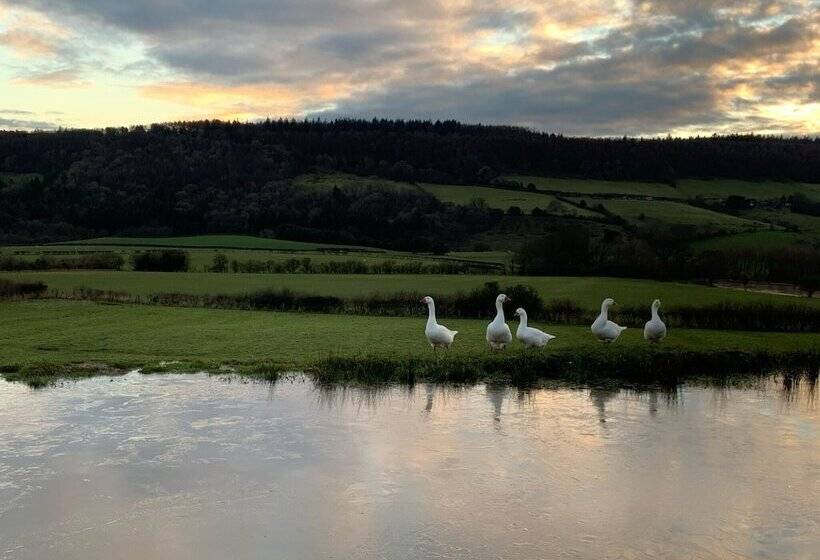 민박 The Grainary Boutique