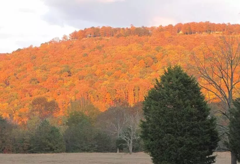 Aamiaismajoitus (B&B) Winston Place