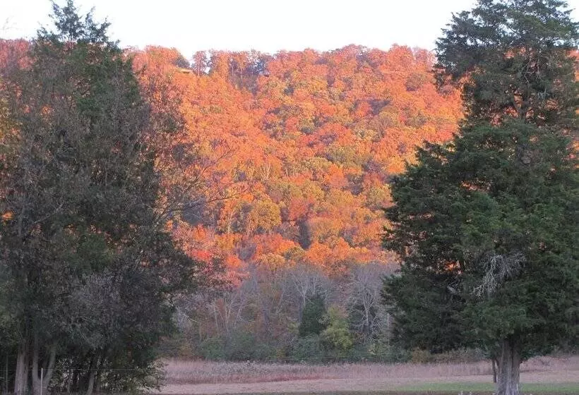 Aamiaismajoitus (B&B) Winston Place