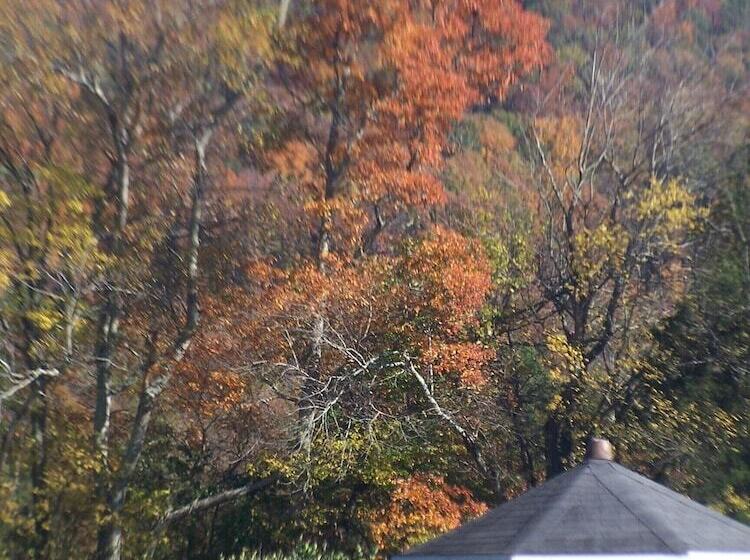 住宿加早餐  Winston Place