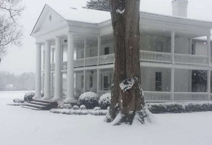 住宿加早餐  Winston Place