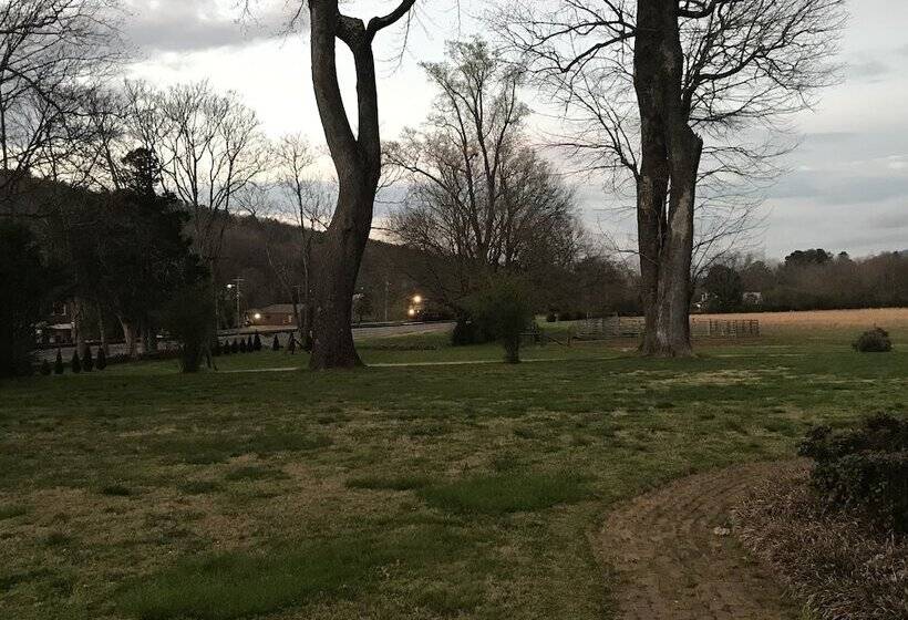 住宿加早餐  Winston Place