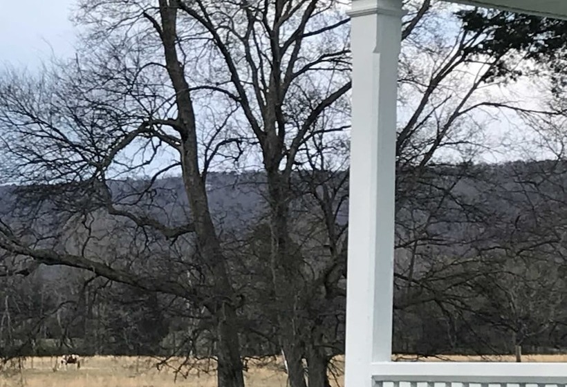 住宿加早餐  Winston Place