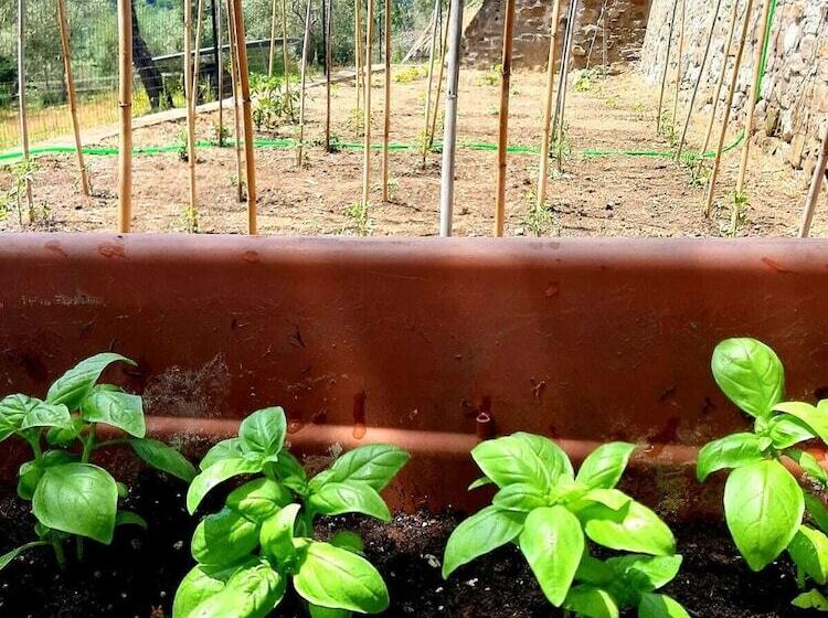 Charming 4 Bed Cottage 15 Minutes From Florence