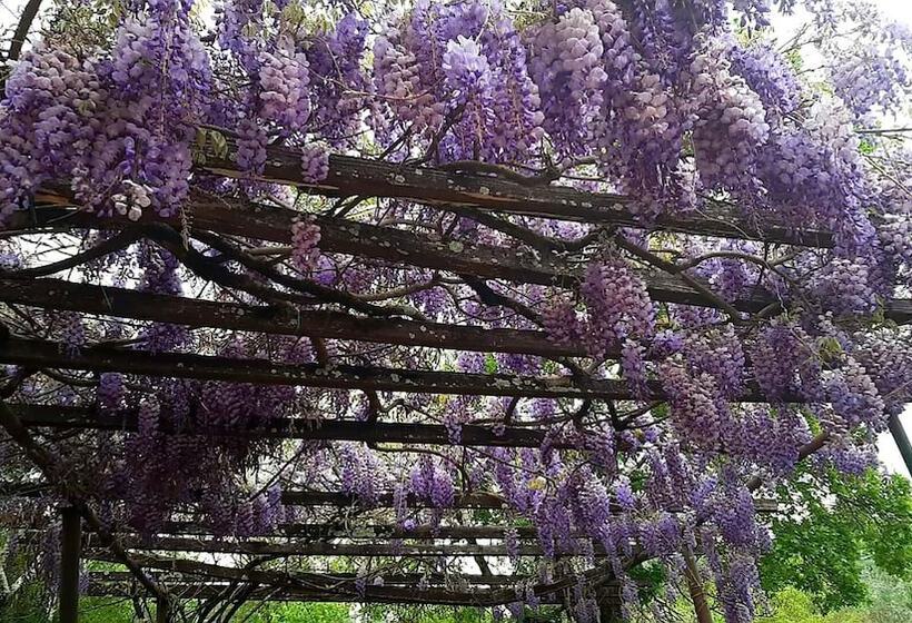 Charming 4 Bed Cottage 15 Minutes From Florence