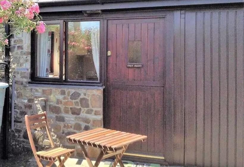 The Tack Room   A Comfy Cabin In North Devon