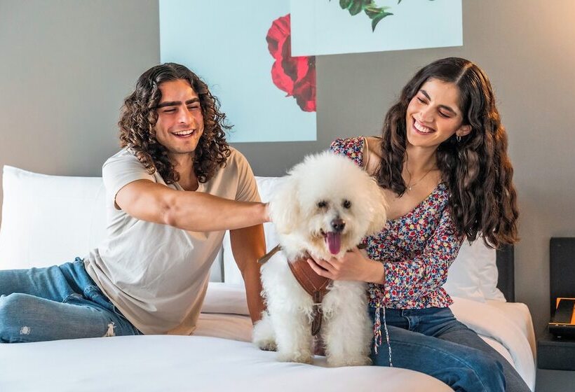 Отель Aloft Guadalajara Sur