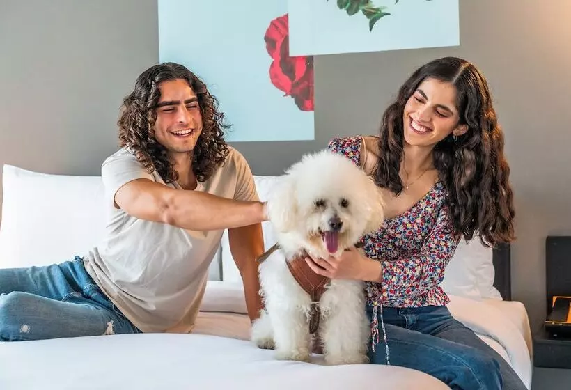 ホテル Aloft Guadalajara Sur