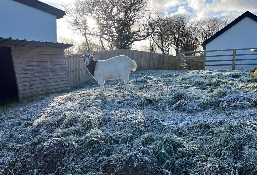 Hotelli Robin Hood Safari Tent