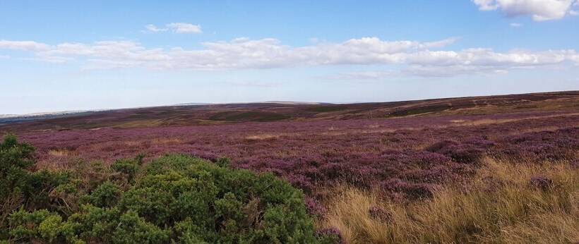 5m Xl Bell Tent With Log Burner, Near Whitby