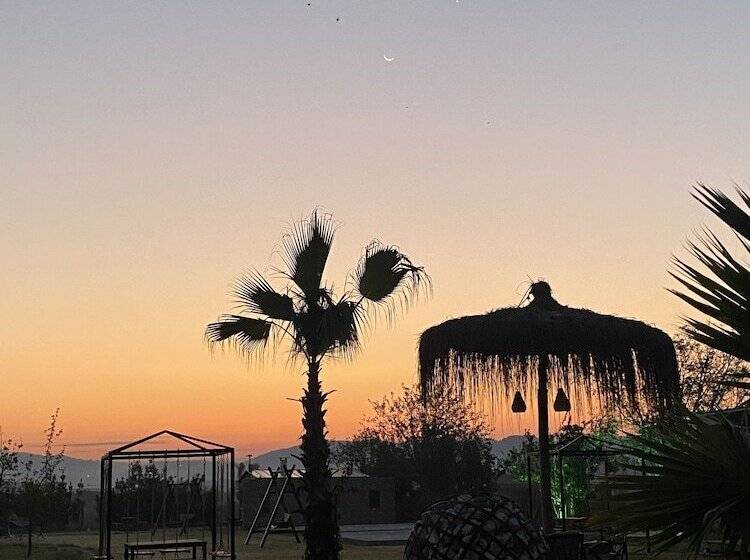 Bed and Breakfast Albizia Boutique