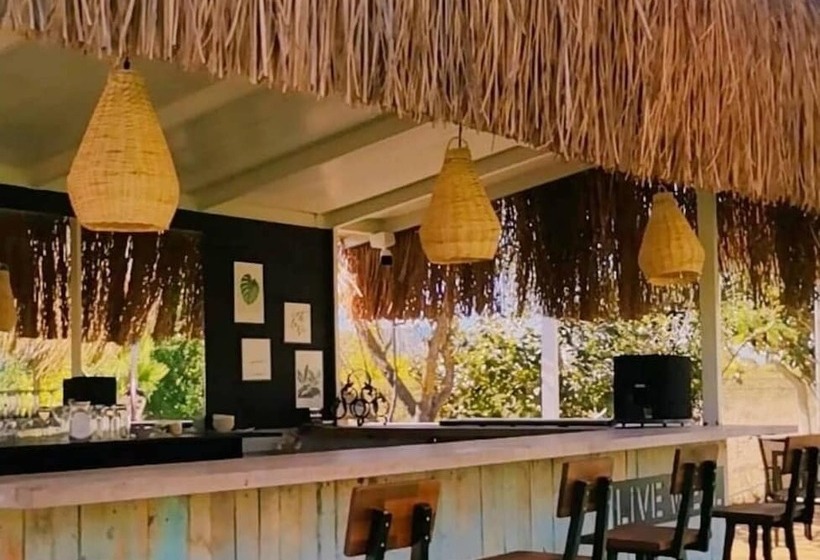 Bed and Breakfast Albizia Boutique