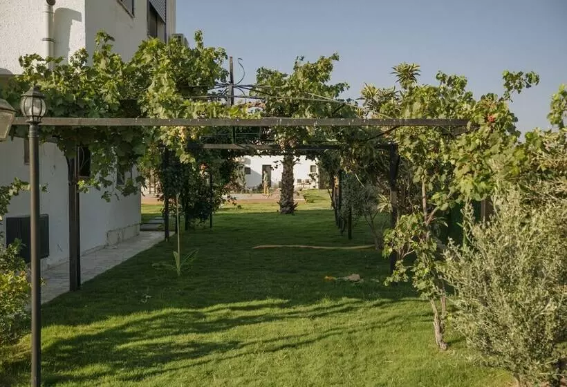تختخواب و صبحانه Ali Baba Ciftligi Alacati