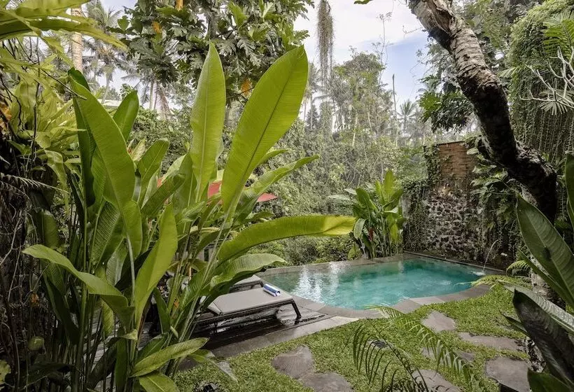 Aamiaismajoitus (B&B) Bubu Mesari Ubud Villa