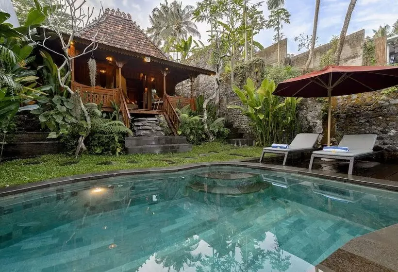 Aamiaismajoitus (B&B) Bubu Mesari Ubud Villa