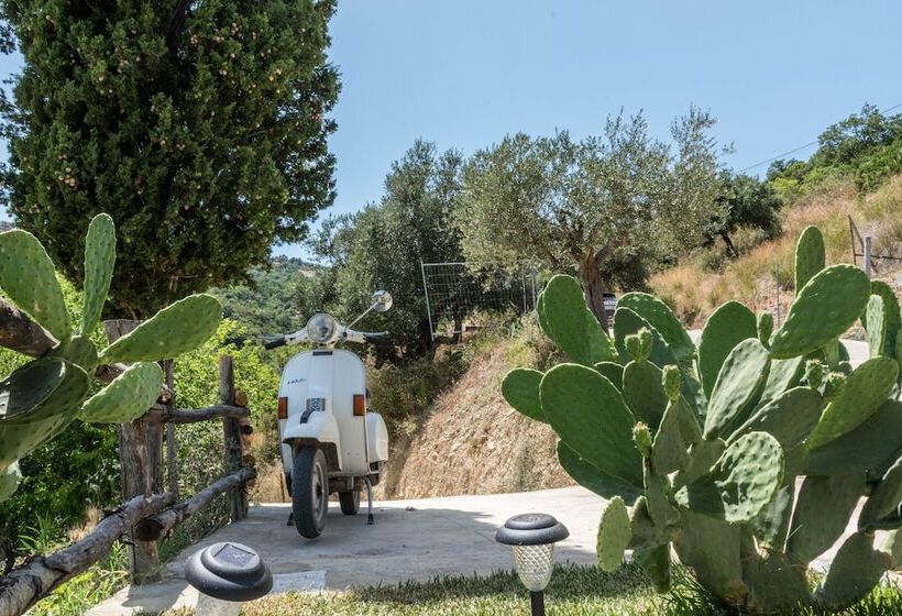 Bed and Breakfast Country House L Antica Pietra